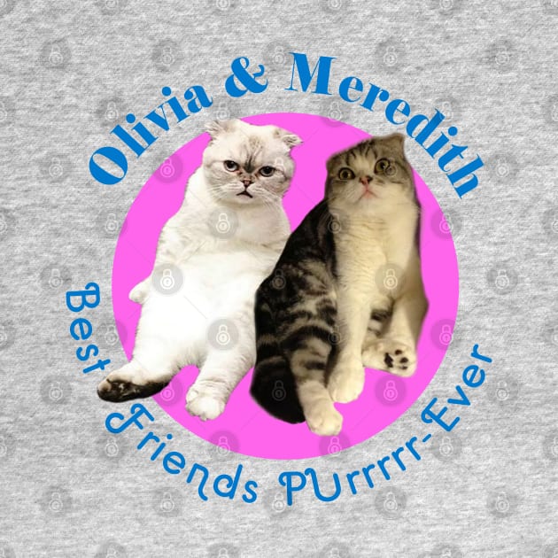 Olivia & Meredith by geeklyshirts